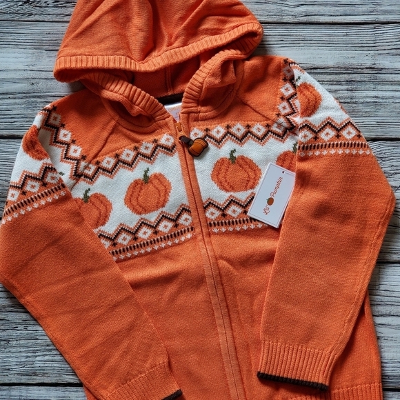 Gymboree Orange Pumpkin Sweater Lil's Pumpkin Collection Hooded Zip Up Sweater - Picture 9 of 14